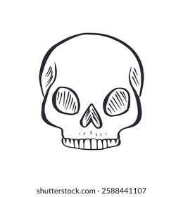 Hand drawn black and white line art human skull isolated on white background. Monochrome doodle skeleton head tattoo design