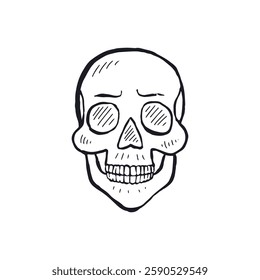 Hand drawn black and white line art human skull isolated on white background. Monochrome skeleton head design