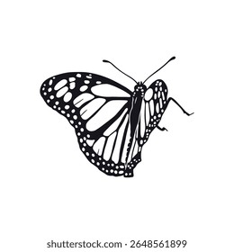 Mão desenhada preto e branco monarca borboleta clip art. Design de insetos tropicais bonito. Ilustração vetorial sobre fundo branco