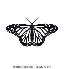 Mão desenhada preto e branco monarca borboleta clip art. Design de insetos tropicais bonito. Ilustração vetorial sobre fundo branco