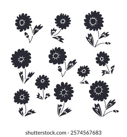 Hand drawn black and white outlined doodle daisy flowers set. Simple monochrome floral sketches bundle. Abstract botanical elements collection.