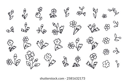 Hand drawn black and white outlined doodle daisy flowers set. Simple monochrome floral sketches bundle. Abstract botanical elements collection.