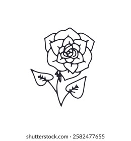 Hand drawn black and white outlined doodle rose flower. Simple monochrome floral sketch. Abstract botanical element.