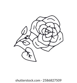 Hand drawn black and white outlined doodle rose flower. Simple monochrome floral sketch. Abstract botanical element.