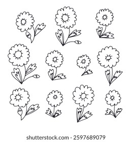 Hand drawn black and white outlined doodle daisy flowers set. Simple monochrome floral sketches bundle. Abstract botanical elements collection.