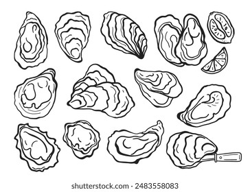 Hand drawn black and white oysters set