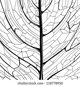 Hand drawn black and white pattern of the leaf structure