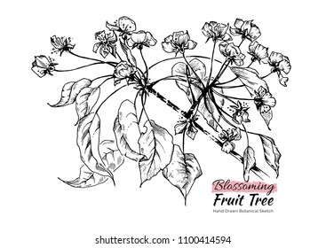 Hand drawn black and white pear tree branch with leaves and flowers. Vector botanical illustration, beautiful and tender spring fruit tree blossoming sketch. 