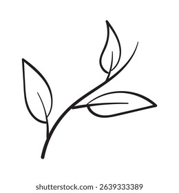 Hand Drawn Black and White Plants Vector Illustration