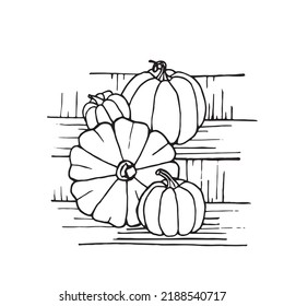 Hand drawn black and white pumpkins. Cartoon outline of vegetables in doodle style. Symbol of autumn harvest and Halloween.