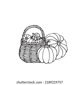 Hand Drawn Black White Pumpkins Basket Stock Vector (Royalty Free ...