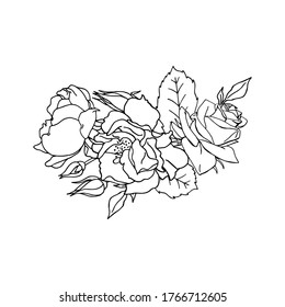 Hand drawn black and white rose flower arrangement. Floral design element. Isolated on white background. Vector illustration.