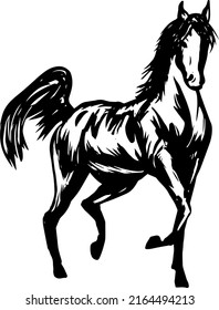 hand drawn black and white, running, standing horse in sketch, vector stallion illustration