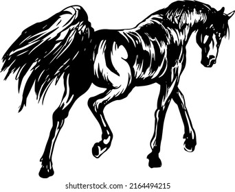 hand drawn black and white, running, standing horse in sketch, vector stallion illustration