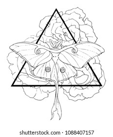 Hand drawn black and white sacred geometry triangle tattoo design featuring luna moth and roses