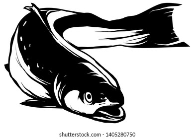 Hand drawn black and white salmon fish 