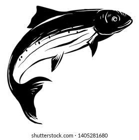 Hand drawn black and white salmon fish 