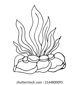 Hand drawn black and white sea doodle sketch illustration. The corals.