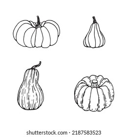 Hand drawn black and white set of pumpkins. Cartoon outline of vegetables in doodle style. Symbol of autumn harvest and Halloween.
