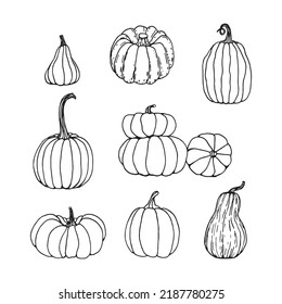 Hand drawn black and white set of pumpkins. Cartoon outline of vegetables in doodle style. Symbol of autumn harvest and Halloween.