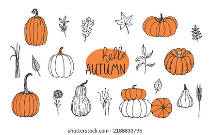 Hand drawn black   white set pumpkins and twigs grass   leaves  Cartoon outline vegetables in doodle style  Symbol autumn harvest   Halloween 