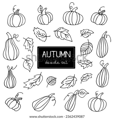 Hand drawn black and white set of pumpkins with leaves. Cartoon outline of vegetables in doodle style. Symbol of autumn harvest and Halloween.