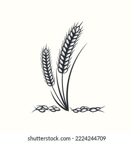 Hand drawn black and white silhouette of wheat ears cereals barley illustration in vintage and retro style on white background