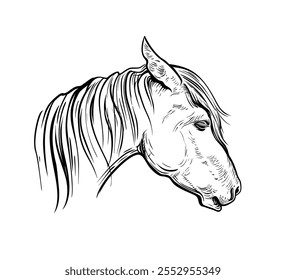 Esboço preto e branco desenhado à mão da cabeça de Cavalos. Animal de criação. O cavalo é um símbolo do Ano Novo Chinês de 2026. Ilustração vetor de férias do signo do zodíaco para cartão de saudação, folheto, banner, calendário