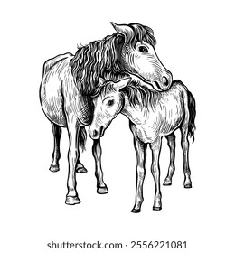 Hand drawn black and white sketch of Horse. Farm animal. Horse is a symbol of the 2026 Chinese New Year. Holiday vector illustration of Zodiac Sign for greeting card, flyer, banner, calendar