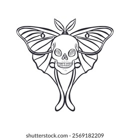 Hand drawn black and white sketch of human skull with luna moth wings isolated on white background. Monochrome Bohemian skeleton head with butterfly design