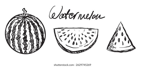 Hand drawn black and white sketch of whole watermelon, slices, and seeds in black brush stroke texture isolated on white. Vector sketch illustration in vintage charcoal ink. Summer berry