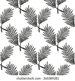 Hand drawn black and white sketched palm decoration items. Set of isolated sea summer exotic beach party wedding decorative symbols and elements. Black outline sketch on white background