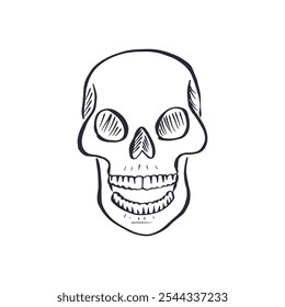 Hand drawn black and white sketchy human skull isolated on white background. Doodle skeleton head tattoo design