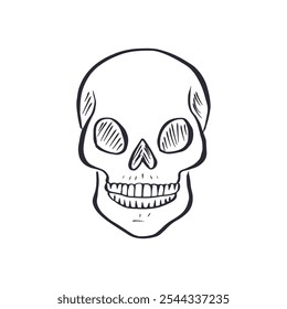 Hand drawn black and white sketchy human skull isolated on white background. Doodle skeleton head tattoo design