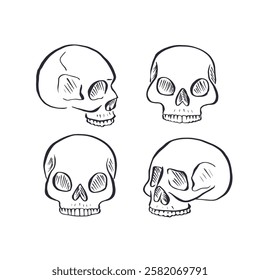 Hand drawn black and white sketchy human skulls set isolated on white background. Doodle skeleton head tattoo design