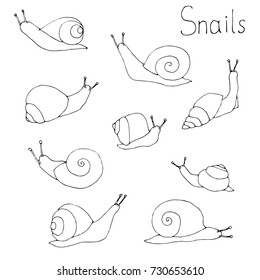 Hand drawn black and white snails set.
