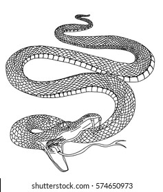 Coiled Snake Images, Stock Photos & Vectors | Shutterstock