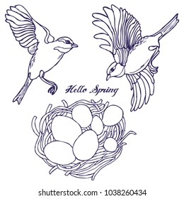 Hand drawn black and white spring birds and the nest in vector
