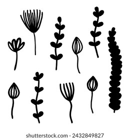 Hand Drawn Black And White Spring Flowers On White Background. Sketch. Doodle style