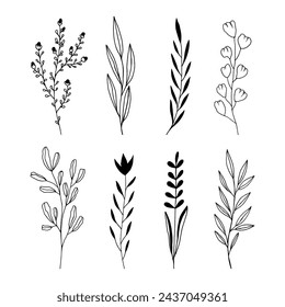 Hand Drawn Black And White Spring Flowers On White Background. Sketch. Doodle style