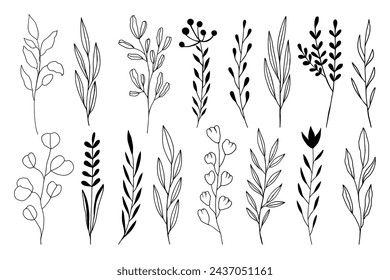 Hand Drawn Black And White Spring Flowers On White Background. Sketch. Doodle style
