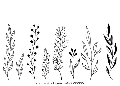 Flores De Primavera En Blanco Y Negro Dibujadas A Mano Sobre Fondo Blanco. Boceto. Estilo Doodle	