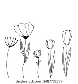 Flores De Primavera En Blanco Y Negro Dibujadas A Mano Sobre Fondo Blanco. Boceto. Estilo Doodle	