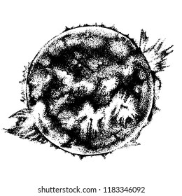 Hand drawn black and white sun. Vector illustration
