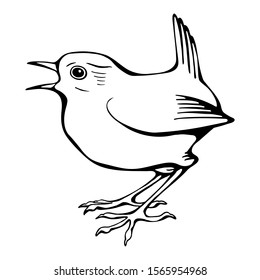 Hand drawn black and white vector of wren bird isolated on white. Festive elements for your design.