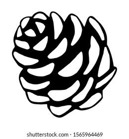 Hand drawn black and white vector of pine cone isolated on white. Festive element for your design.