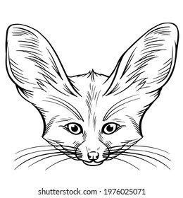 Hand drawn black and white vector portrait of fennec fox  isolated on white background. Stock illustration of desert animal in sketch style for coloring pages.