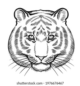 Hand drawn black and white vector portrait of tiger isolated on white background. Stock illustration of wild forest animal in sketch style for coloring pages.