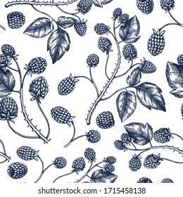 Hand drawn blackberries vector  backdrop in engraved style. Wild berries seamless pattern. Hand drawing. Vintage forest berry sketch. Blackberries plant background. Healthy food ingredient design