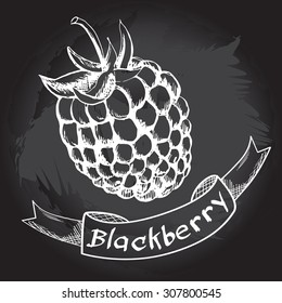 Hand drawn blackberry. Vector Illustration. Poster on a blackboard.